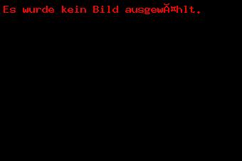 Frühjahrskonzert 2011_24